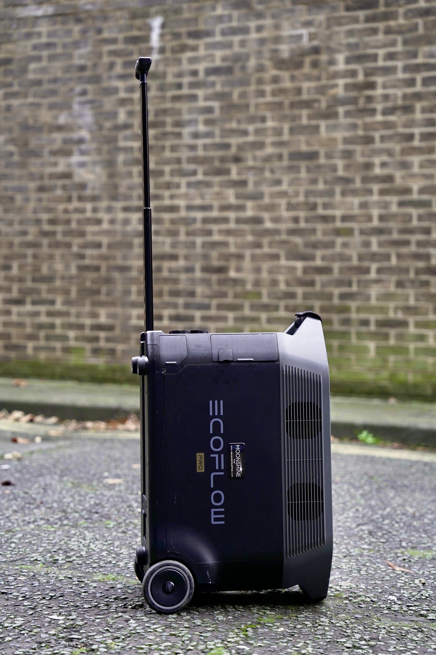 EcoFlow DELTA Pro Portable Power Station